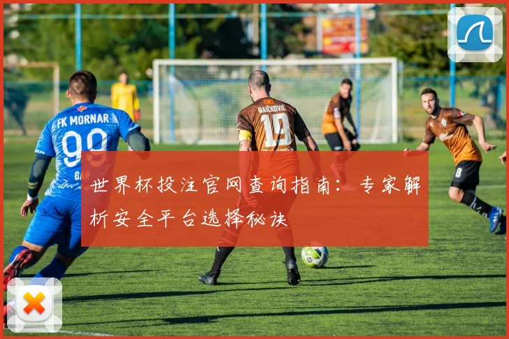 世界杯投注官网查询指南：专家解析安全平台选择秘诀