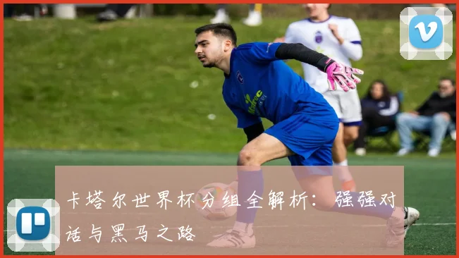 卡塔尔世界杯分组全解析：强强对话与黑马之路