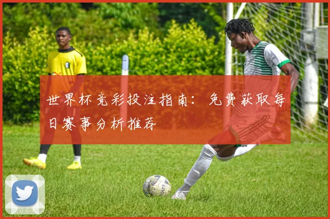 世界杯竞彩投注指南：免费获取每日赛事分析推荐